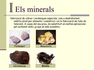 Els minerals fabricació de vidres i ceràmiques especials, com a deshidratant, additiu alcalí,per aliments i cosmètics i en la fabricació de tubs de televisió. A causa del seu preu, és substituït en moltes aplicacions pel carbonat sòdic ja que es més econòmic. Feldespat Moscovita Biotita Hornblenda 
