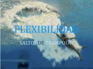 FLEXIBILIDAD
SALTOS DE TRAMPOLÍN

 