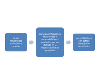 cursa con infecciones
                 recurrentes e
   es una                            presentaciones
              inmunodeficiencia
enfermedad                             con patrón
               producida por un
autosómica                             hereditario
                 defecto en la
  recesiva                             autosómico
              maduración de los
                  neutrófilos
 