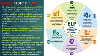 Experimental learning programme PPT .pptx