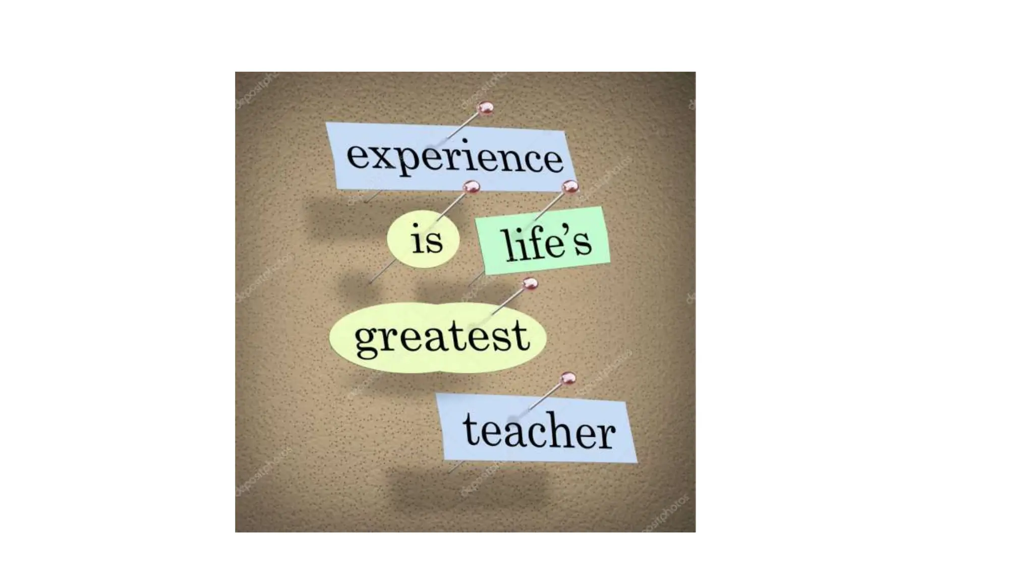 Capacity Building Programme Slides Pptx