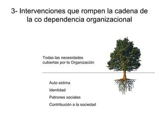 3- Intervenciones que rompen la cadena de la co dependencia organizacional Todas las necesidades cubiertas por la Organización Auto estima Identidad Patrones sociales Contribución a la sociedad 