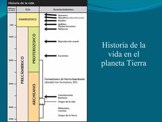Historia de la vida en el planeta Tierra 