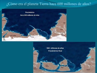 ¿Cómo era el planeta Tierra hace 600 millones de años? 