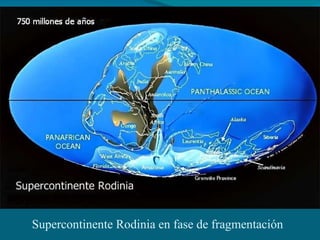Supercontinente Rodinia en fase de fragmentación 
