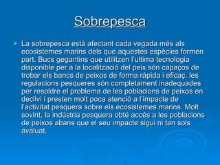 Sobrepesca La sobrepesca està afectant cada vegada més als ecosistemes marins dels que aquestes espècies formen part. Bucs gegantins que utilitzen l’ultima tecnologia disponible per a la localització del peix són capaços de trobar els bancs de peixos de forma ràpida i eficaç. les regulacions pesqueres són completament inadequades per resoldre el problema de les poblacions de peixos en declivi i presten molt poca atenció a l’impacte de l’activitat pesquera sobre els ecosistemes marins. Molt sovint, la indústria pesquera obté accés a les poblacions de peixos abans que el seu impacte sigui ni tan sols avaluat.  