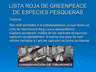 LISTA ROJA DE GREENPEACE DE ESPECIES PESQUERAS Taurons: Són molt sensibles a la sobreexplotació, ja que tenen un cicle de reproducció llarg i poca descendència.  Captura accidental: moltes de les espècies de tauró es capturen accidentalment. S’estima que prop de cent milions individus a l’any es capturen de forma accidental. 