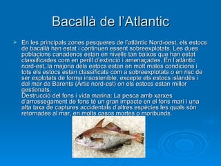 Bacallà de l’Atlantic En les principals zones pesqueres de l’atlàntic Nord-oest, els estocs de bacallà han estat i continuen essent sobreexplotats. Les dues poblacions canadencs estan en nivells tan baixos que han estat classificades com en perill d’extinció i amenaçades. En l’atlàntic nord-est, la majoria dels estocs estan en molt males condicions i tots els estocs estan classificats com a sobreexplotats o en risc de ser explotats de forma insostenible, excepte els estocs islandès i del mar de Barents (Àrtic nord-est) on els estocs estan millor gestionats.  Destrucció del fons i vida marina: La pesca amb xarxes d’arrossegament de fons té un gran impacte en el fons marí i una alta taxa de captures accidentals d’altres espècies les quals són retornades al mar, en molts casos mortes o moribunds.  