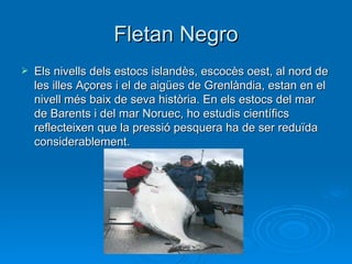 Fletan Negro Els nivells dels estocs islandès, escocès oest, al nord de les illes Açores i el de aigües de Grenlàndia, estan en el nivell més baix de seva història. En els estocs del mar de Barents i del mar Noruec, ho estudis científics reflecteixen que la pressió pesquera ha de ser reduïda considerablement. 