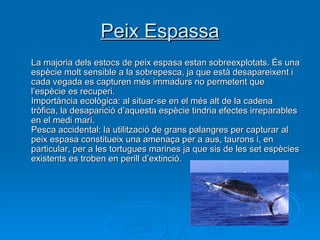 Peix Espassa La majoria dels estocs de peix espasa estan sobreexplotats. És una espècie molt sensible a la sobrepesca, ja que està desapareixent i cada vegada es capturen més immadurs no permetent que l’espècie es recuperi.  Importància ecològica: al situar-se en el més alt de la cadena tròfica, la desaparició d’aquesta espècie tindria efectes irreparables en el medi marí.  Pesca accidental: la utilització de grans palangres per capturar al peix espasa constitueix una amenaça per a aus, taurons i, en particular, per a les tortugues marines ja que sis de les set espècies existents es troben en perill d’extinció.  