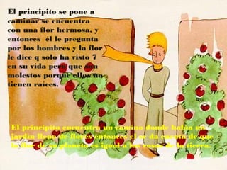 El principito se pone a
caminar se encuentra
con una flor hermosa, y
entonces él le pregunta
por los hombres y la flor
le dice q solo ha visto 7
en su vida pero que son
molestos porque ellos no
tienen raíces.




El principito encuentra un camino donde había un
jardín lleno de flores entonces el se da cuenta de que
la flor de su planeta es igual a las rosas de la tierra.
 