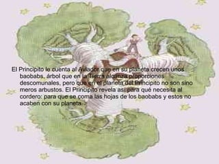 El Principito le cuenta al Aviador que en su planeta crecen unos baobabs, árbol que en la Tierra alcanza proporciones descomunales, pero que en el planeta del Principito no son sino meros arbustos. El Principito revela así para qué necesita al cordero: para que se coma las hojas de los baobabs y estos no acaben con su planeta.  