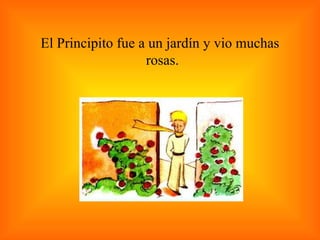 El Principito fue a un jardín y vio muchas rosas.  