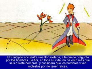 El Principito encuentra una flor solitaria, a la que le pregunta
por los hombres. La flor, en toda su vida, no ha visto más que
   seis o siete hombres, y considera que los hombres viven
                 molestos por no tener raíces.
 