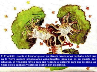 El Principito cuenta al Aviador que en su planeta crecen unos baobabs, árbol que
en la Tierra alcanza proporciones considerables, pero que en su planeta son
arbustos. El Principito revela para qué necesita al cordero: para que se coma las
hojas de los baobabs y estos no acaben con su planeta.
 