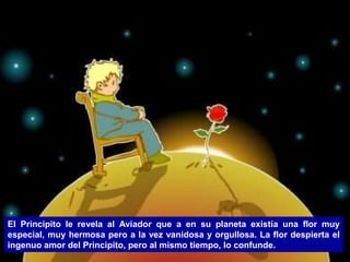 El Principito le revela al Aviador que a en su planeta existía una flor muy
especial, muy hermosa pero a la vez vanidosa y orgullosa. La flor despierta el
ingenuo amor del Principito, pero al mismo tiempo, lo confunde.
 