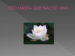 ESO HASTA QUE NACIO UNA 