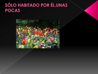 SÓLO HABITADO POR ÉL,UNAS POCAS