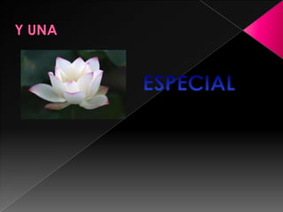 Y UNAESPECIAL