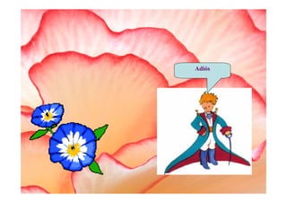 Adiós
 