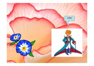 Adiós
 