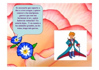 Es necesario que soporte a
dos o a tres orugas y quiero
  conocer a las mariposas.
     ¡parece que son tan
   hermosas si no ¿ quien
   habrá de visitarme? Tu
estarás lejos.. Y en cuanto a
los animales grandes, no les
   temo, tengo mis garras.
 