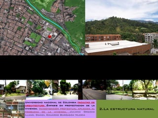 Universidad nacional de Colombia facultad de
arquitectura Énfasis en proyectacion de la
vivienda. Investigación proyectual aplicada al   2.La estructura natural
problema de la vivienda. Juliana Orozco
Llano. Daniel Eduardo Barragán Viloria
 
