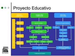 Proyecto Educativo
 
