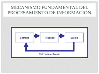 MECANISMO FUNDAMENTAL DEL
PROCESAMIENTO DE INFORMACION
 