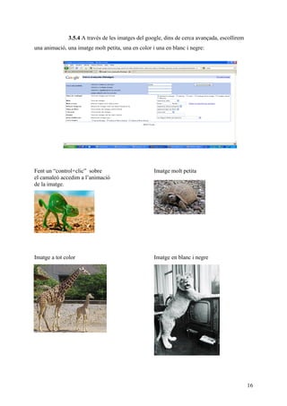 3.5.4 A través de les imatges del google, dins de cerca avançada, escollirem
una animació, una imatge molt petita, una en color i una en blanc i negre:




Fent un “control+clic” sobre                        Imatge molt petita
el camaleó accedim a l’animació
de la imatge.




Imatge a tot color                                  Imatge en blanc i negre




                                                                                              16
 