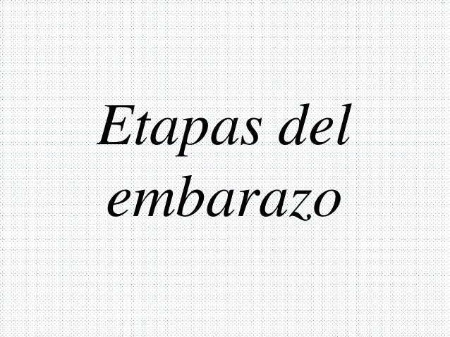 Procesos Del Embarazo Mes A Mes