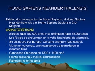 HOMO SAPIENS NEANDERTHALENSIS Existen dos subespecies del homo Sapiens; el Homo Sapiens Neanderthalensis y el Homo Sapiens Sapiens o Cro- Magnon. CARACTERÍSTICAS: Surgen hace 100.000 años y se extinguen hace 35.000 años Los fósiles se encuentran en el valle Neandertal de Alemania. Se distribuye por Europa, Cercano oriente y Asia central. Vivían en cavernas, eran cazadores y desarrollaron la industria lítica Capacidad Craneana de 1300 a 1400 cm3 Frente pequeña y maxilar sobresaliente Palma de la mano larga 