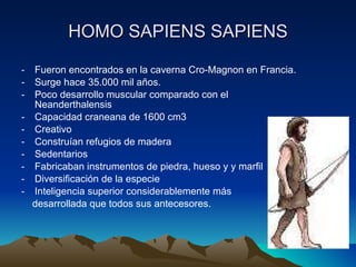 HOMO SAPIENS SAPIENS Fueron encontrados en la caverna Cro-Magnon en Francia. Surge hace 35.000 mil años. Poco desarrollo muscular comparado con el Neanderthalensis Capacidad craneana de 1600 cm3 Creativo Construían refugios de madera Sedentarios Fabricaban instrumentos de piedra, hueso y y marfil Diversificación de la especie Inteligencia superior considerablemente más desarrollada que todos sus antecesores. 