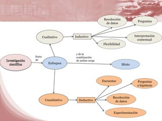 Cualitativo 
Enfoques 
Cuantitativo 
Inductivo 
Recolección 
de datos 
Preguntas 
Flexibilidad 
Interpretación 
contextual 
Parte 
de 
y de la 
combinación 
de ambas surge 
Mixto 
Deductivo 
Encuestas 
Preguntas 
e hipótesis 
Recolección 
de datos 
Experimentación 
 