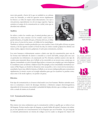 17
EL PROCESO DE LA COMUNICACIÓN
recer más grande y fuerte de lo que en realidad es; en culturas
como las orientales, es señal de agresión mover rápidamente
los brazos y es falta de respeto mirar directamente a los ojos a
otra persona, especialmente si es de un rango superior. Aquí ya
entramos al campo de la comunicación no verbal, tema que se
abordará más adelante.
Auditiva
Se refiere a todos los sonidos que el animal produce para co-
municarse; los más comunes son los sonidos vocales como el
gruñir del perro, el maullar del gato, el bramar del toro, el silbar
de las aves, el croar de las ranas o el chillar de los murciélagos.
También se incluyen sonidos producidos por otros medios como el del grillo al frotar sus patas
traseras, el de las cigarras cuando se frotan las alas, los simios cuando golpean los árboles con
ramas sueltas, algunos insectos golpetean el suelo para comunicarse, etcétera.
Los seres humanos evidentemente usamos a diario este tipo de comunicación, pues una de
las formas más habituales de darnos a entender es a través del habla, aunque para este caso
en particular nos referiremos a la comunicación oral. No obstante, también usamos otro tipo de
sonidos para transmitir ideas; así, el silbido se ha convertido en un recurso muy común que en
algunas comunidades en todo el mundo llega incluso a tornarse tan complejo que varios lingüistas
le consideran como un idioma o dialecto local. Por ejemplo, en las comunidades montañesas cer-
canas al Mar Negro, en donde las distancias entre un pueblo y otro a través de las montañas y
acantilados hacen muy difícil el tránsito, el silbido es un recurso indispensable para comunicarse
rápidamente, lo mismo ocurre en la jungla tailandesa para que los cazadores se puedan comu-
nicar entre sí de modo sigiloso y no perder a la presa.
Eléctrica
Este tipo de comunicación es el menos relacionado con el ser humano. Muchos animales acuá-
ticos se comunican a través de descargas eléctricas o diminutos campos electromagnéticos;
dependerá de la frecuencia, intensidad y polaridad del display eléctrico que se indique una inten-
ción o estado de ánimo en el animal.
1.3.2	 Comunicación humana
Verbal
Para iniciar este tema señalaremos que la comunicación verbal es aquélla que se refiere al uso
del lenguaje. Existen muchos tipos de lenguaje, se puede hablar del animal y humano; sin embar-
go, en este apartado nos concentraremos en los lenguajes que usa el hombre. Así, por lenguaje
se entiende primeramente un sistema de códigos con los cuales se designan los objetos del
Las personas expresamos
ideas y sentimientos a través
de los sonidos de la música,
que considerada románti-
camente como el lenguaje
universal.
Se ha comprobado que los
humanos generamos ciertas
cargas eléctricas directamen-
te relacionadas con nuestra
condición física y estado de
ánimo, quizás alguien muy
susceptible a estas cargas
pueda de manera intuitiva
percibir algún mensaje.
Figura 1.1
Dentro de la milicia
se usan hombreras
vistosas las cuales
cambian de tamaño
según el rango
 