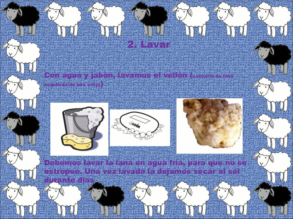 Proceso De La Lana Dibujo