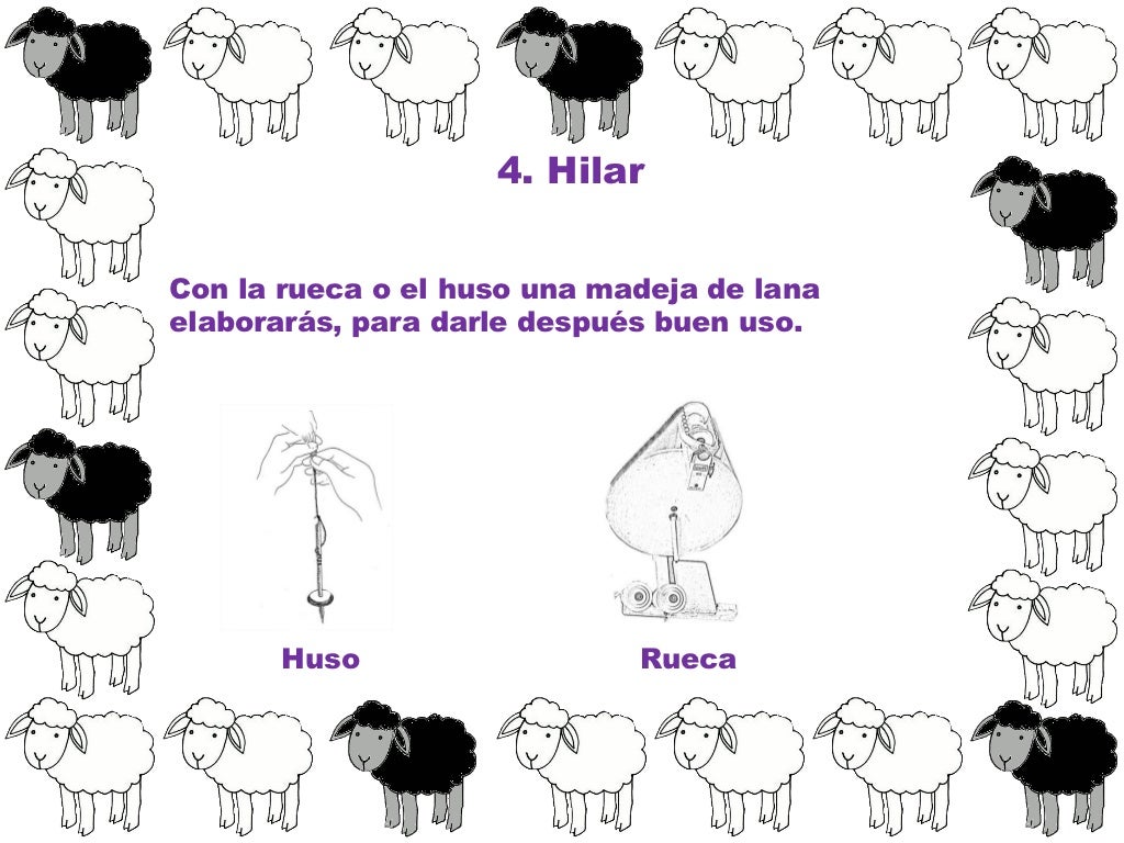 El proceso de la lana (actividad)