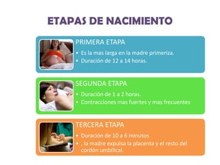 ETAPAS DE NACIMIENTO
PRIMERA ETAPA
• Es la mas larga en la madre primeriza.
• Duración de 12 a 14 horas.

SEGUNDA ETAPA
• Duración de 1 a 2 horas.
• Contracciones mas fuertes y mas frecuentes

TERCERA ETAPA
• Duración de 10 a 6 minutos
• , la madre expulsa la placenta y el resto del
cordón umbilical.

 