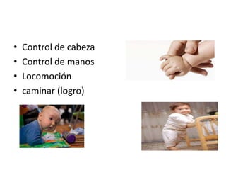 •
•
•
•

Control de cabeza
Control de manos
Locomoción
caminar (logro)

 