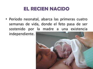 EL RECIEN NACIDO
• Periodo neonatal, abarca las primeras cuatro
semanas de vida, donde el feto pasa de ser
sostenido por la madre a una existencia
independiente.

 