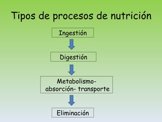 Tipos de procesos de nutrición Ingestión Digestión Metabolismo- absorción- transporte Eliminación 