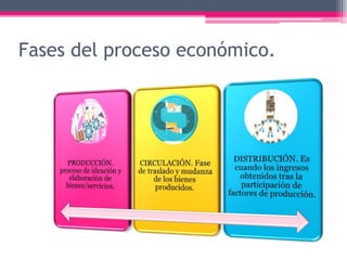 Fases del proceso económico.
 