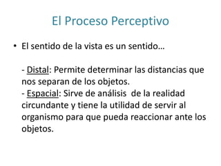 El Proceso Perceptivo
• El sentido de la vista es un sentido…
- Distal: Permite determinar las distancias que
nos separan de los objetos.
- Espacial: Sirve de análisis de la realidad
circundante y tiene la utilidad de servir al
organismo para que pueda reaccionar ante los
objetos.
 