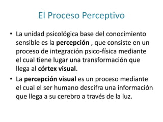 El Proceso Perceptivo
• La unidad psicológica base del conocimiento
sensible es la percepción , que consiste en un
proceso de integración psico-física mediante
el cual tiene lugar una transformación que
llega al córtex visual.
• La percepción visual es un proceso mediante
el cual el ser humano descifra una información
que llega a su cerebro a través de la luz.
 