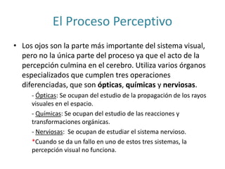 El Proceso Perceptivo
• Los ojos son la parte más importante del sistema visual,
pero no la única parte del proceso ya que el acto de la
percepción culmina en el cerebro. Utiliza varios órganos
especializados que cumplen tres operaciones
diferenciadas, que son ópticas, químicas y nerviosas.
- Ópticas: Se ocupan del estudio de la propagación de los rayos
visuales en el espacio.
- Químicas: Se ocupan del estudio de las reacciones y
transformaciones orgánicas.
- Nerviosas: Se ocupan de estudiar el sistema nervioso.
*Cuando se da un fallo en uno de estos tres sistemas, la
percepción visual no funciona.
 