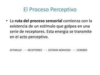 El Proceso Perceptivo
• La ruta del proceso sensorial comienza con la
existencia de un estímulo que golpea en una
serie de receptores. Esta energía se transmite
en el acto perceptivo.
ESTIMULO RECEPTORES SISTEMA NERVIOSO CEREBRO
 