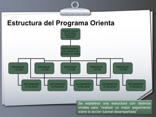 Estructura del Programa Orienta VICERRECTORADO  DE CALIDAD E INNOVACIÓN  DOCENTE RESPONSABLE  DEL GRUPO DE ACCIÓN TUTORIAL PROFESOR  –  TUTOR PROFESOR  - TUTOR PROFESOR  - TUTOR PROFESOR  - TUTOR PROFESOR  - TUTOR ESTUDIANTES TUTELADOS ESTUDIANTES TUTELADOS ESTUDIANTES TUTELADOS ESTUDIANTES TUTELADOS ESTUDIANTES TUTELADOS Se establece una estructura con distintos niveles para “realizar un mejor seguimiento sobre la acción tutorial desempeñada” 
