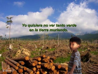 Yo quisiera no ver tanto verdeYo quisiera no ver tanto verde
en la tierra muriendo.en la tierra muriendo.
 