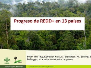 Progreso de REDD+ en 13 países
Pham Thu Thuy, Korhonen-Kurki, K., Brockhaus, M., Sehring, J.
DiGreggio, M. + todos los expertos de países
 