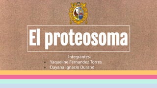 El proteosoma
Integrantes:
● Yaqueline Fernandez Torres
● Dayana Ignacio Durand
 